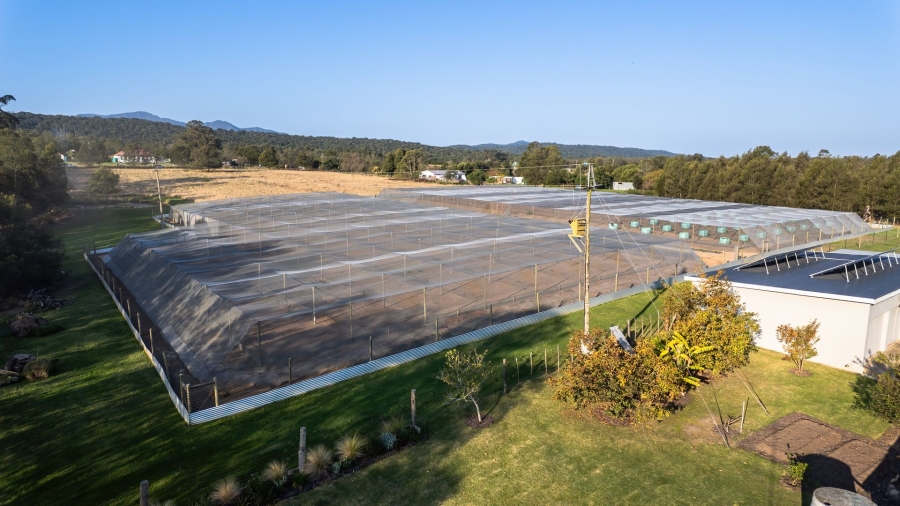 Commercial Property for Sale in Kraaibos Western Cape